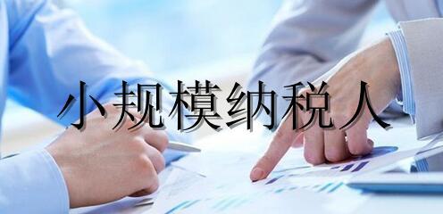广州记账报税代理小规模纳税人在纳税申报时需要注意什么