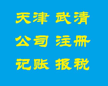 图 天津武清公司注册,提供地址,记账报税,申请一般纳税人 天津工商注册